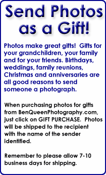 Send a Photo Gift